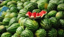 青岛的网红吃瓜事件真相,揭秘背后真相与争议