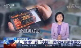 央视爆料网络洗钱案件最新,网络洗钱案件频发，警方重拳出击守护金融安全