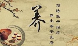 养生之道爆料视频完整版,视频完整版深度解析