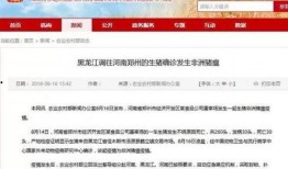 八村最新爆料新闻视频大全,揭秘视频大全背后的惊人真相！”