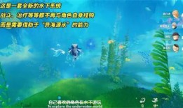 枫丹潜水爆料最新消息今天,揭秘神秘水下世界奇观