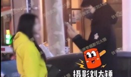 文轩爆料刘大锤视频播放,文轩爆料背后故事揭秘