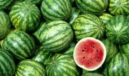 网红吃瓜qq群是多少人,揭秘人生百态的神秘角落