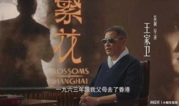 卓然爆料陈总视频全集,揭秘企业内幕与真实故事