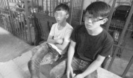 蒋先生最新爆料,揭秘娱乐圈惊天秘密！