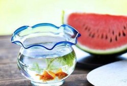 暗黑爆料免费吃瓜