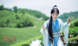 芸汐传免费高清在线观看,穿越时空的浪漫传奇