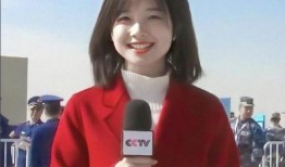 李璇爆料输越南了吗视频,揭秘输越南真相，视频揭露惊人内幕