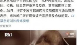 老杨爆料猫粮事件视频,揭秘劣质猫粮背后的惊人真相