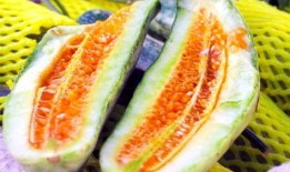 山东最新吃瓜爆料新闻,神秘事件背后真相揭晓！