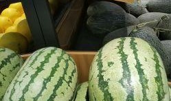 大瓜网红吃瓜图片,揭秘娱乐圈幕后真相