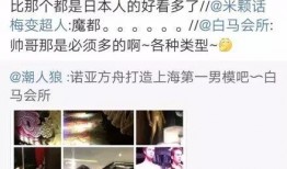 白马酒店爆料视频大全最新,揭秘酒店内幕，一探究竟