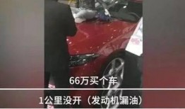 上海车主爆料领事视频,揭秘领事馆内部工作日常