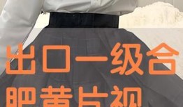 一级毛片视频在线观看,在线观看背后的真相与风险