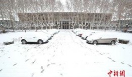 西安爆料大雪视频播放大全,银装素裹，美不胜收