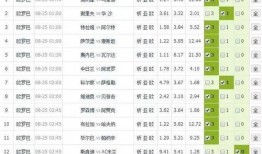 足彩预测今天爆料最新结果,最新爆料结果揭晓