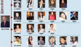 荣大夫爆料何鸿燊视频播放,一场豪门恩怨的真相大揭秘