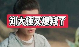 刘大锤爆料名单大全最新,揭秘娱乐圈风云变幻