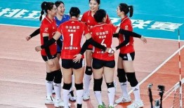 爆料深圳女排视频的人,视频爆料背后的拼搏与荣耀