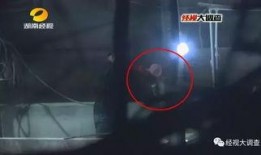 猪灌泥浆爆料视频教程下载,视频解析与实操步骤详解