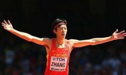 贺晓龙爆料张国伟视频全集,全集内容深度解析