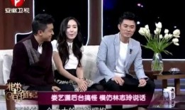 卓然爆料陈总视频全集,揭秘企业内幕与真实故事