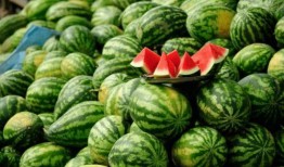 大瓜网红吃瓜图片,揭秘娱乐圈幕后真相