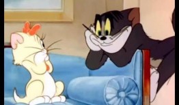 超萌爆料杰瑞的视频,萌态可掬，网友直呼“治愈系”