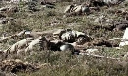 血战丛林电影在线观看,生死较量，勇者无畏