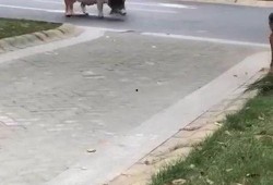 刘先生爆料视频