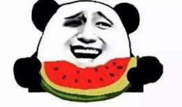 吃瓜群众网免费观看,吃瓜群众网带你开启无广告观影之旅