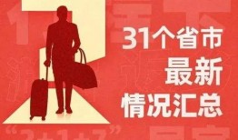 风花节最新爆料新闻内容,幕后真相与精彩瞬间大曝光