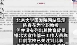 北大博士爆料完整视频,揭秘学术圈潜规则与黑暗面