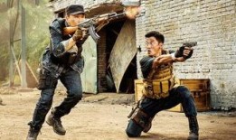 免费战狼高清在线观看,热血沸腾的爱国传奇