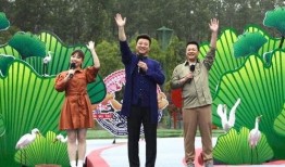 娱乐爆料华哥视频大全最新,最新视频大全大揭秘！