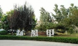 石家庄桃园爆料最新消息,揭秘神秘事件背后的真相