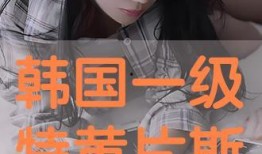 一级毛片视频在线观看,在线观看背后的真相与风险