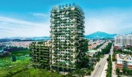 汕头碧桂园爆料最新消息