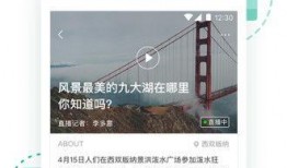 新闻爆料手机问题