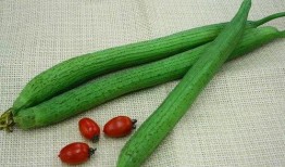 墨白工作室免费吃瓜,免费吃瓜盛宴，揭秘娱乐圈幕后故事