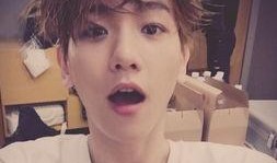 伯贤灿烈圈内人爆料,圈内人爆料惊人内幕