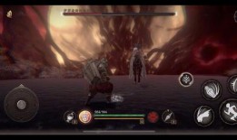 杰哥爆料大仙视频