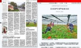 鹰潭实时爆料新闻报道,最新动态一网打尽