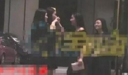 爆料张丰毅出轨事件视频,真相与争议