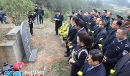 兰辉在线观看,揭秘网络直播的魅力与挑战