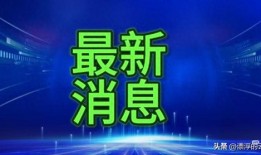 广州今日爆料增城新闻视频,广州今日爆料聚焦热点事件