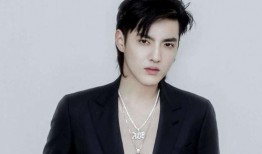 吴亦凡的最新消息爆料,揭秘娱乐圈背后的惊人真相