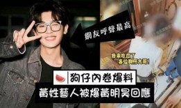 文轩爆料刘大锤视频播放,文轩爆料背后故事揭秘