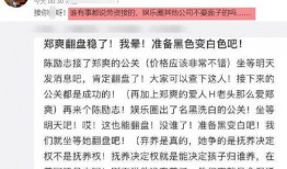 娱乐圈的爆料公关,揭秘明星公关背后的秘密