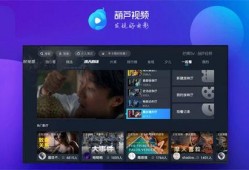 水星新闻爆料视频下载安装,轻松获取独家资讯